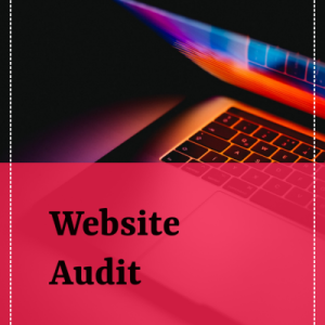 Website Audit